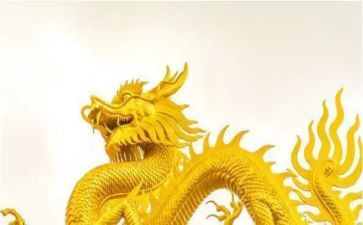 沙龙类活动策划5篇