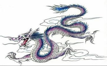 关于龙舟节的作文5篇