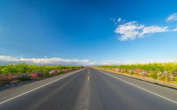 道路交通安全班会教案8篇