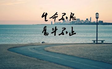 真努力和假努力的作文优质8篇