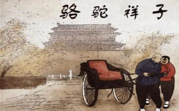 骑骆驼作文优质5篇