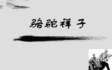 骆驼祥子读书心得体会500字6篇