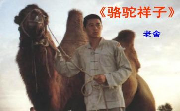 骆驼祥子的读书的心得体会参考8篇