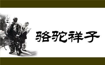 骆驼祥子心得体会700字8篇