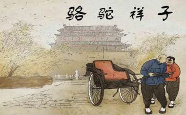 骆驼祥子的读书的心得体会8篇