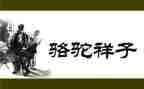 骆驼祥子心得体会700字8篇