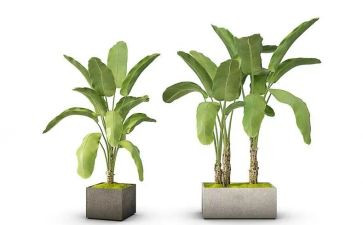 绿野仙踪的读后感推荐8篇