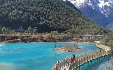 旅游局年度总结5篇