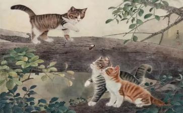 我和猫作文300字6篇