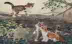 我的猫作文600字优质7篇