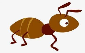 蚂蚁幼儿教案8篇