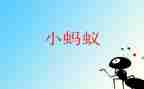 小班画蚂蚁教案8篇