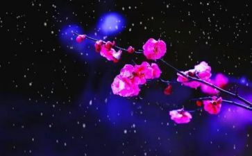 有关于梅花的演讲稿5篇