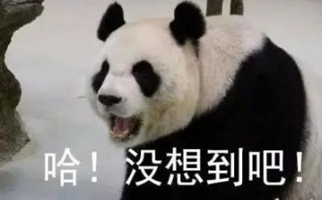 作文真没想到600字8篇