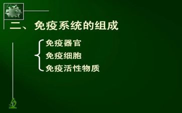 卫生院计划免疫工作计划6篇