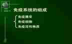 卫生院计划免疫工作计划6篇