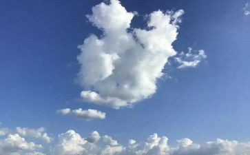 明天,我_作文模板5篇