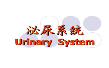 泌尿护士心得体会7篇