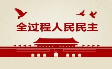8党员民主评议个人总结7篇