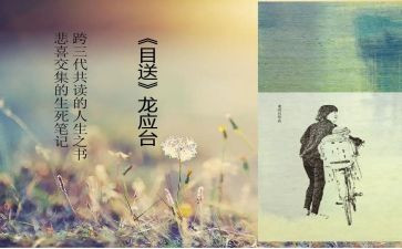 目送读后感6篇