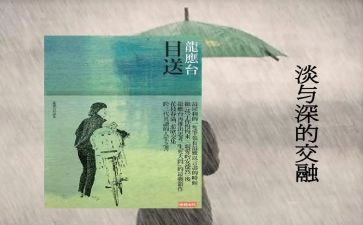 目送中目送的读后感模板8篇