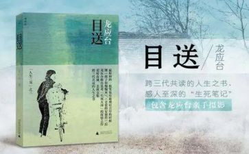 目送读后感优秀8篇