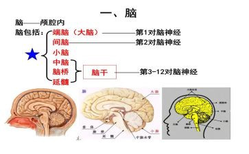 电脑店心得体会精选7篇