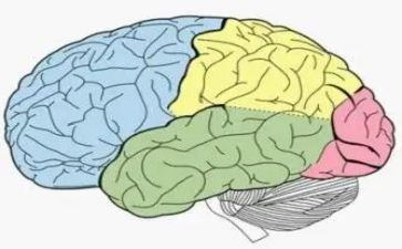 脑外科年终总结最新5篇