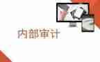 内审计工作工作总结最新7篇