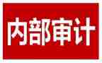 内审计工作工作总结参考8篇