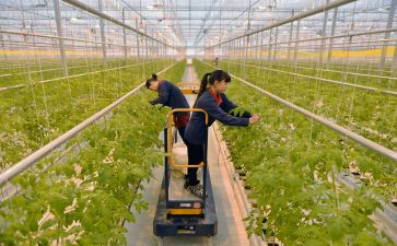 农经济师工作总结推荐8篇