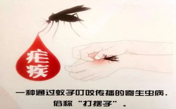 2024年疟疾日宣传活动总结8篇