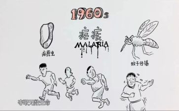 疟疾宣传活动总结7篇