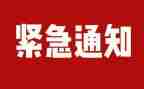 校园贷的排查工作总结7篇
