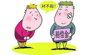 赔偿申请书7篇