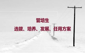 村三培养工作计划精选6篇
