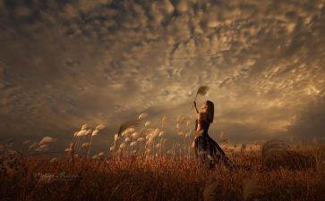 飘的章节读后感6篇