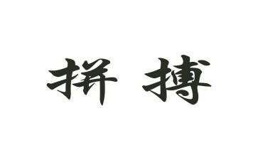拼来的精彩600字作文通用8篇