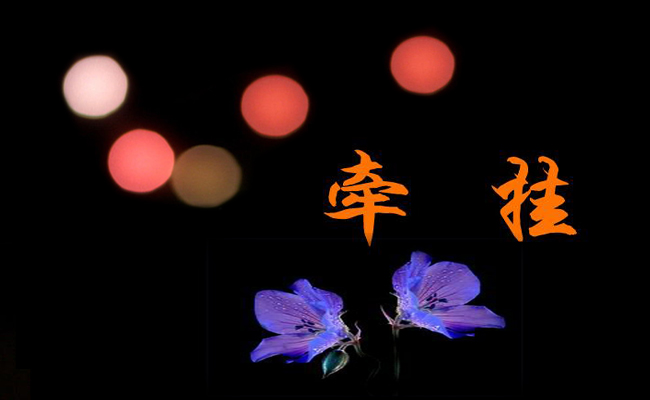 我牵挂的_______作文推荐5篇