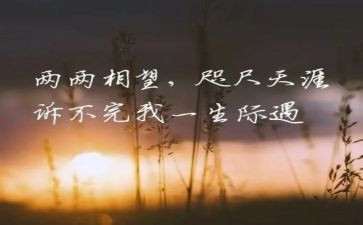 作文我牵挂的人作文800字优秀6篇