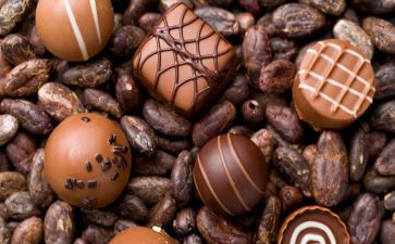 看巧克力工厂读后感参考7篇