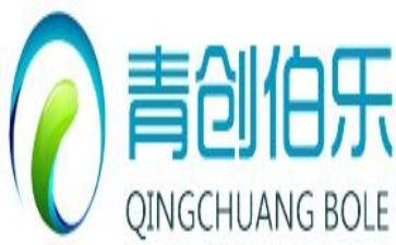 青创贷款申请书模板7篇