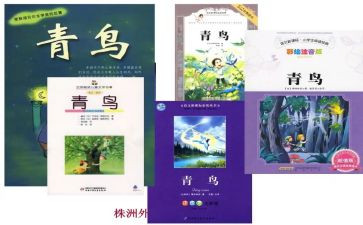 《青鸟》读书心得优秀5篇