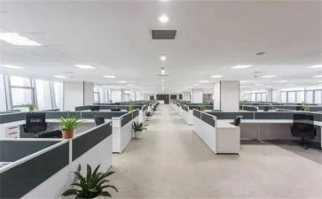 上青校申请书模板5篇