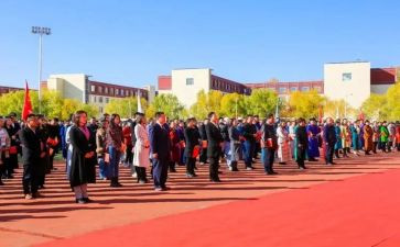 青政活动总结6篇