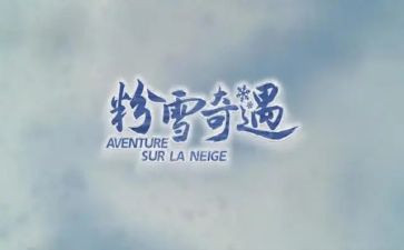 木偶奇遇记,读书心得8篇