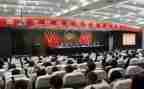 2024年区科协半年度总结8篇