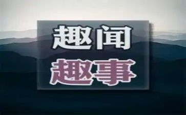我暑假趣事作文400字推荐5篇