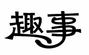 十一趣事作文7篇