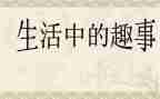 春节趣事800字作文8篇